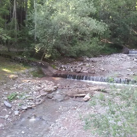 Hubertus